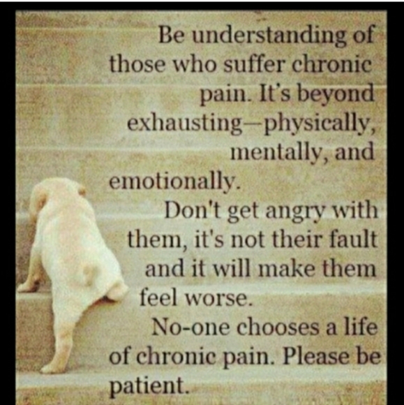 RARE 2 in 1 VINEGAR OIL DECANTER  GLASS DIVIDED EUROPEAN - Picture 13 of 16